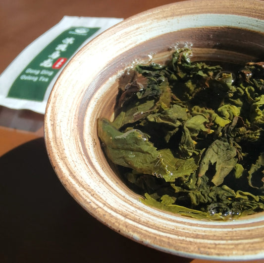 Brewing Rooteas Dong Ding oolong tea in a Gaiwan