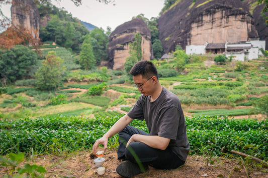 Man sitting on a path in a scenic outdoor setting with mountains and greenery.