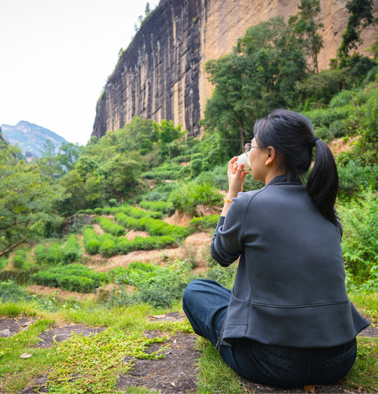 Woman sitting in a scenic outdoor setting with mountains and greenery, drinking from a cup.