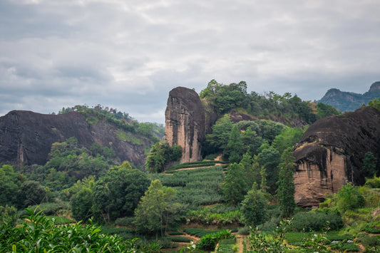 Scenic landscape with rocky outcrops and greenery under a cloudy sky