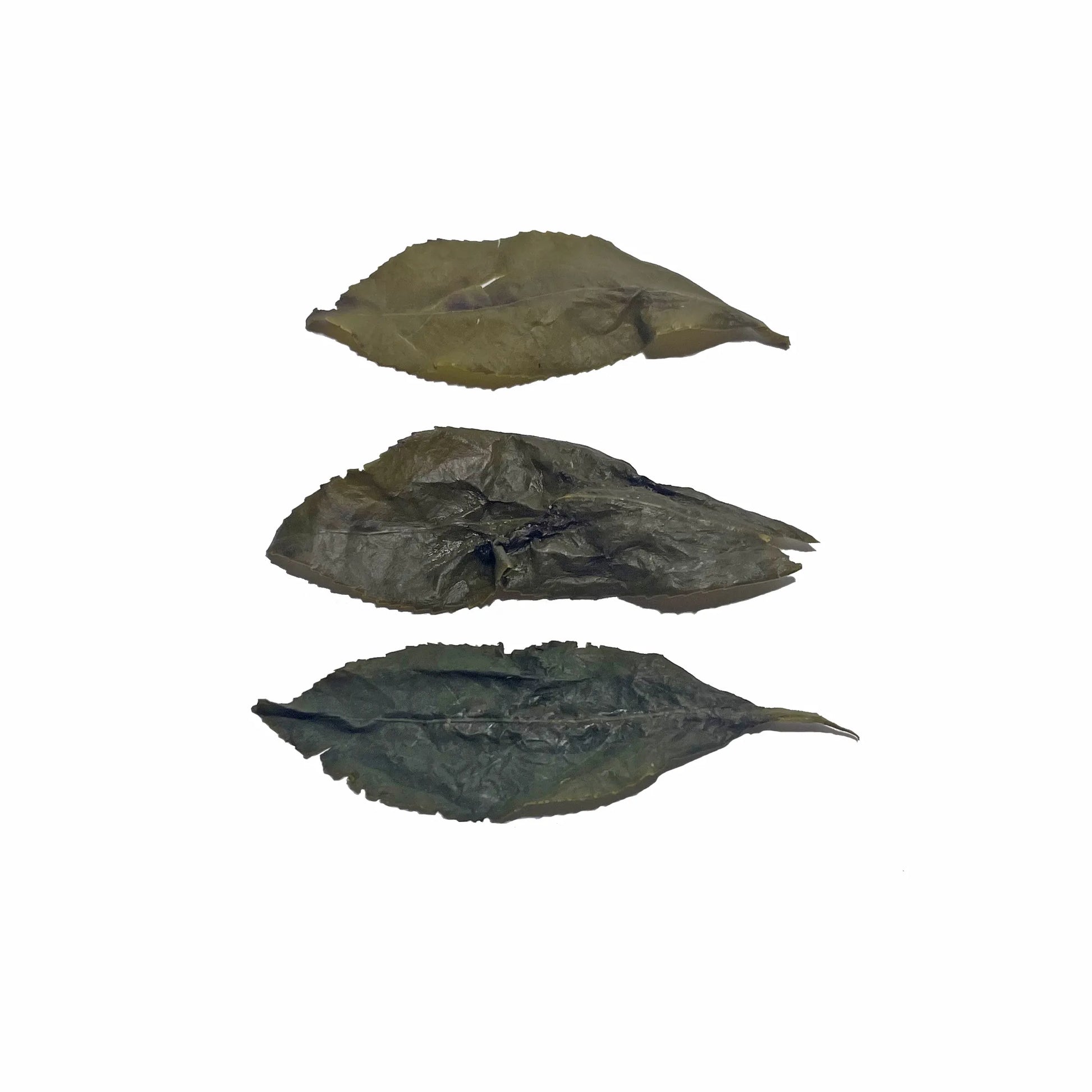 Rooteas Alishan oolong tea leaves