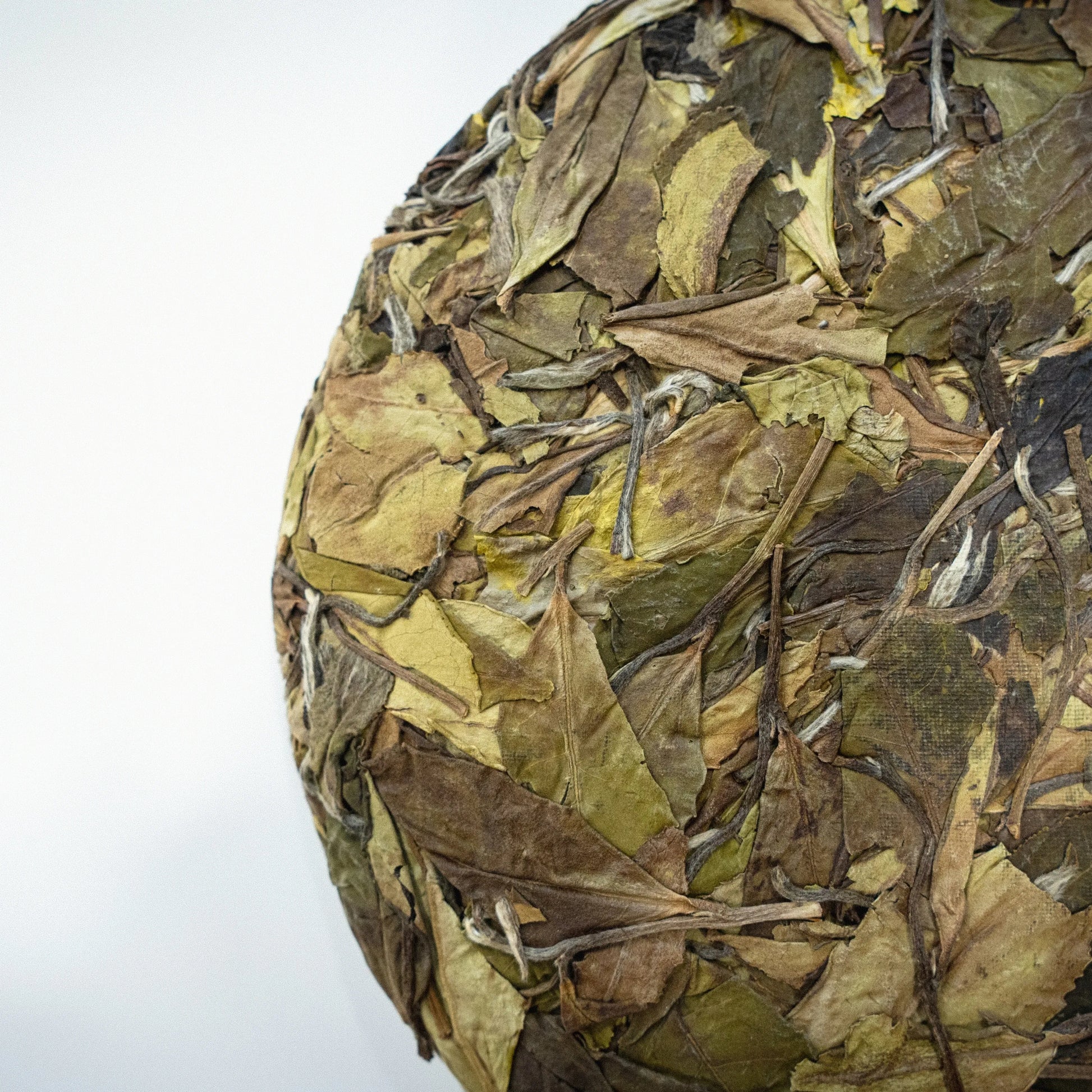 Rooteas autumn dew white tea cake made of dried leaves on a white background