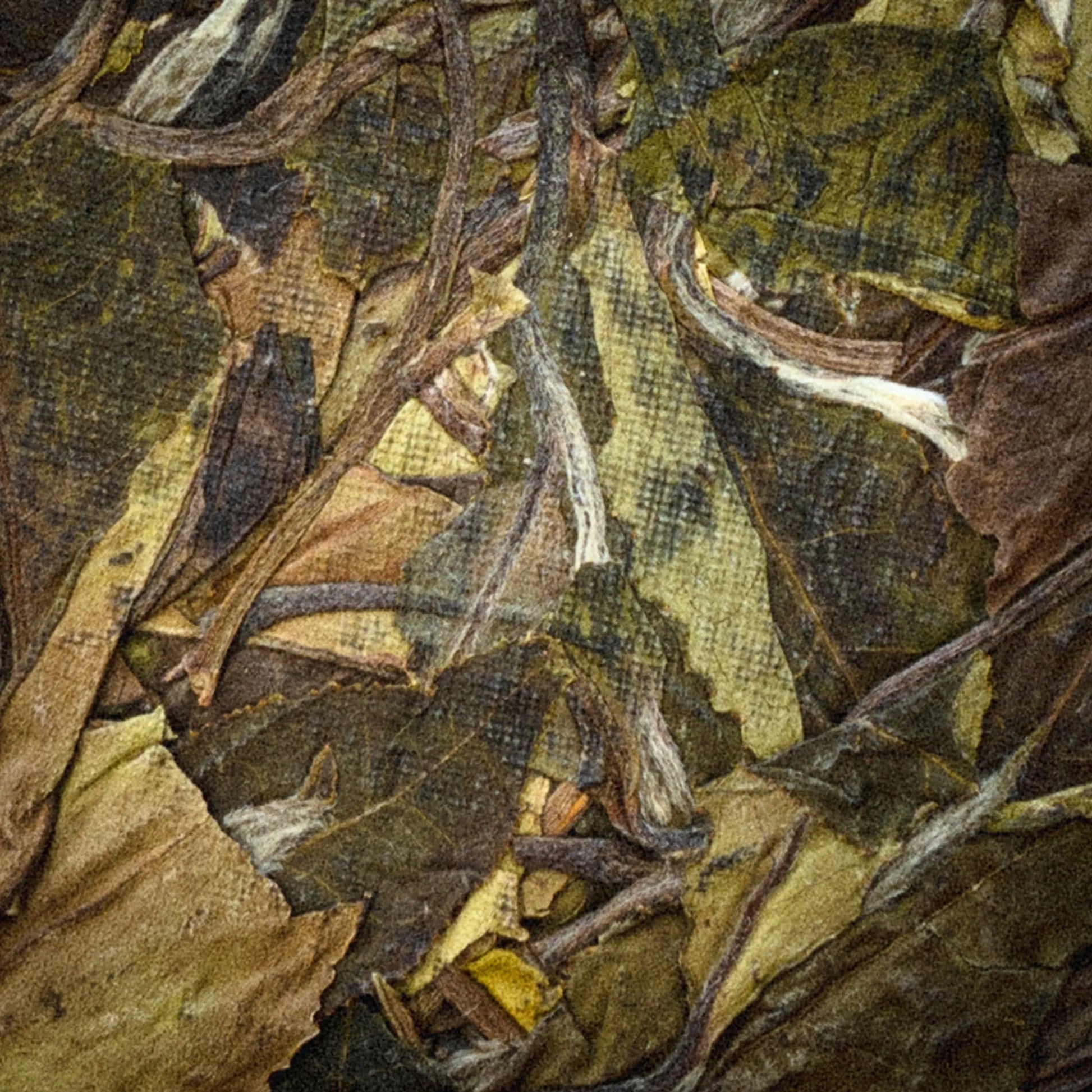 Close-up of rooteas autumn dew white tea cake with a focus on texture and color
