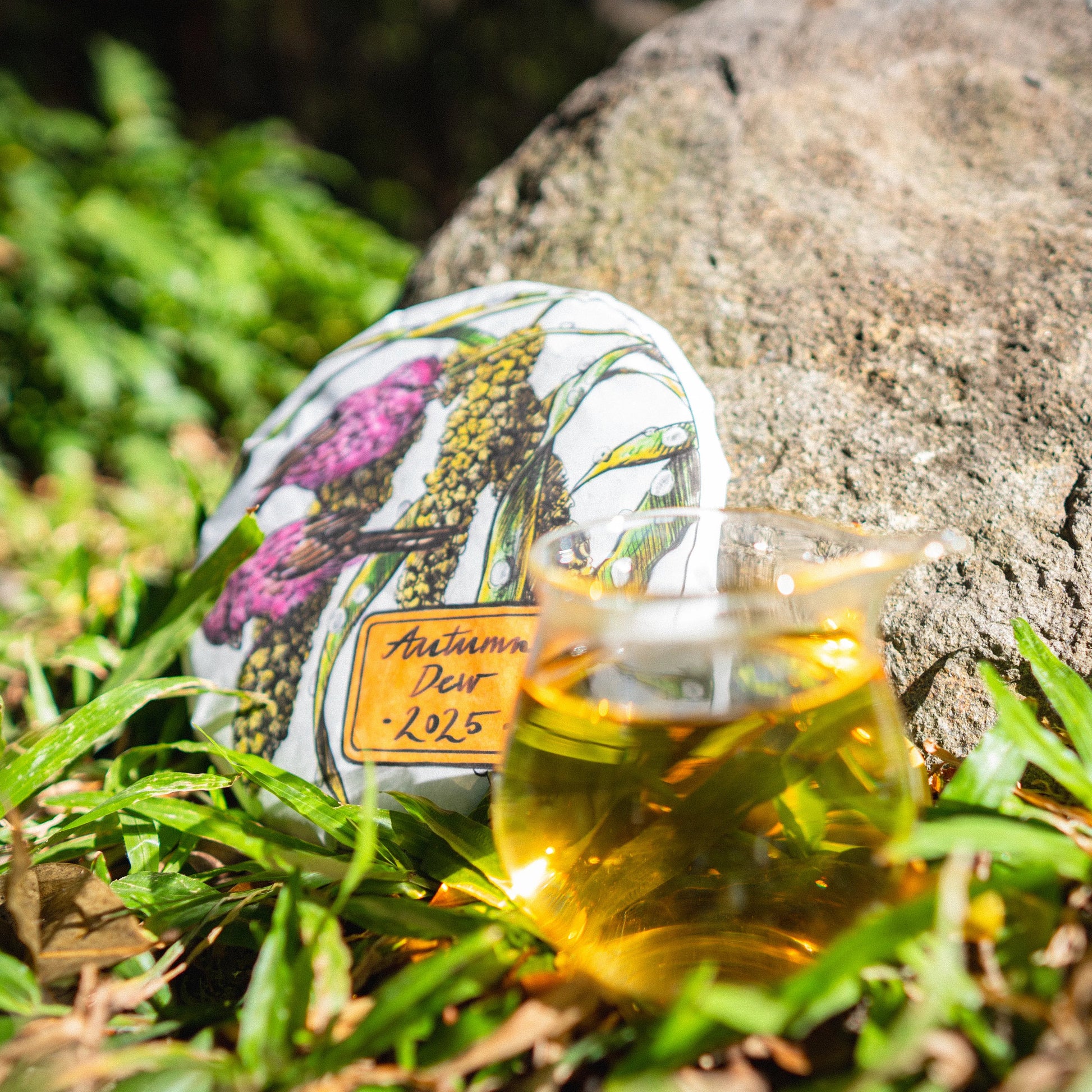 Rooteas autumn dew white tea soup in a glass cup with a white tea cake on a rock surrounded by grass
