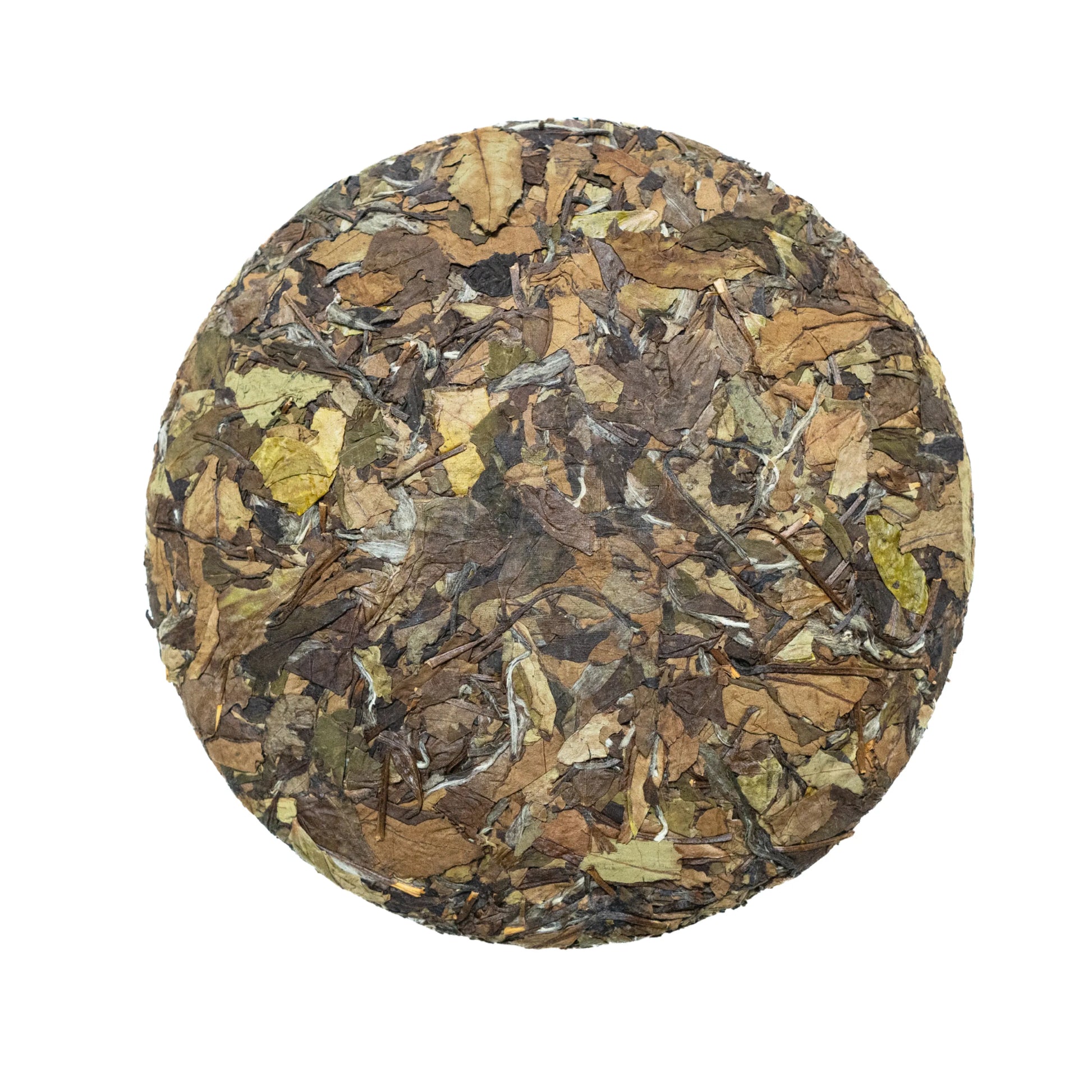 The front side of the aged shou mei white tea on a white background