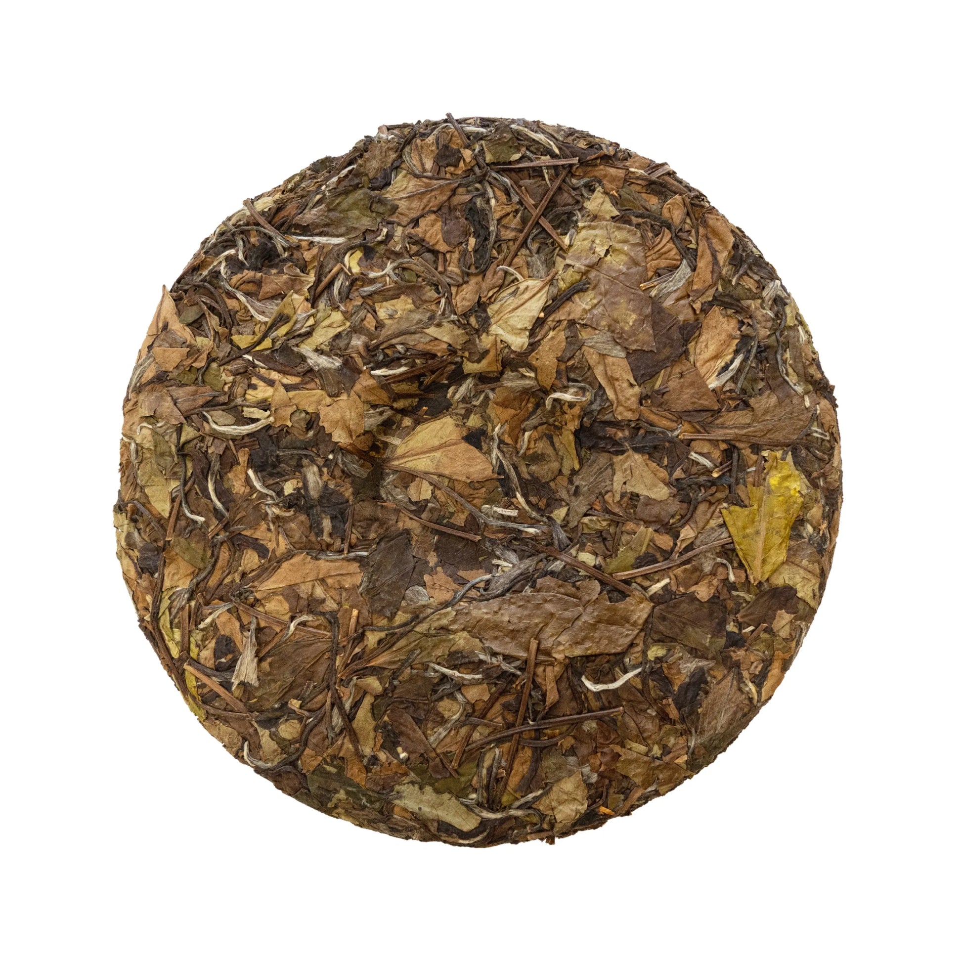 Back side of rooteas bear's bait aged white tea cake on a white background