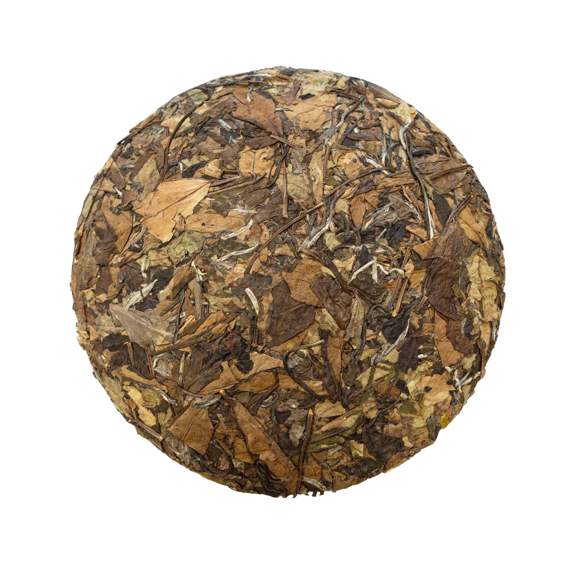 Front side of rooteas bear's bait aged white tea cake on a white background