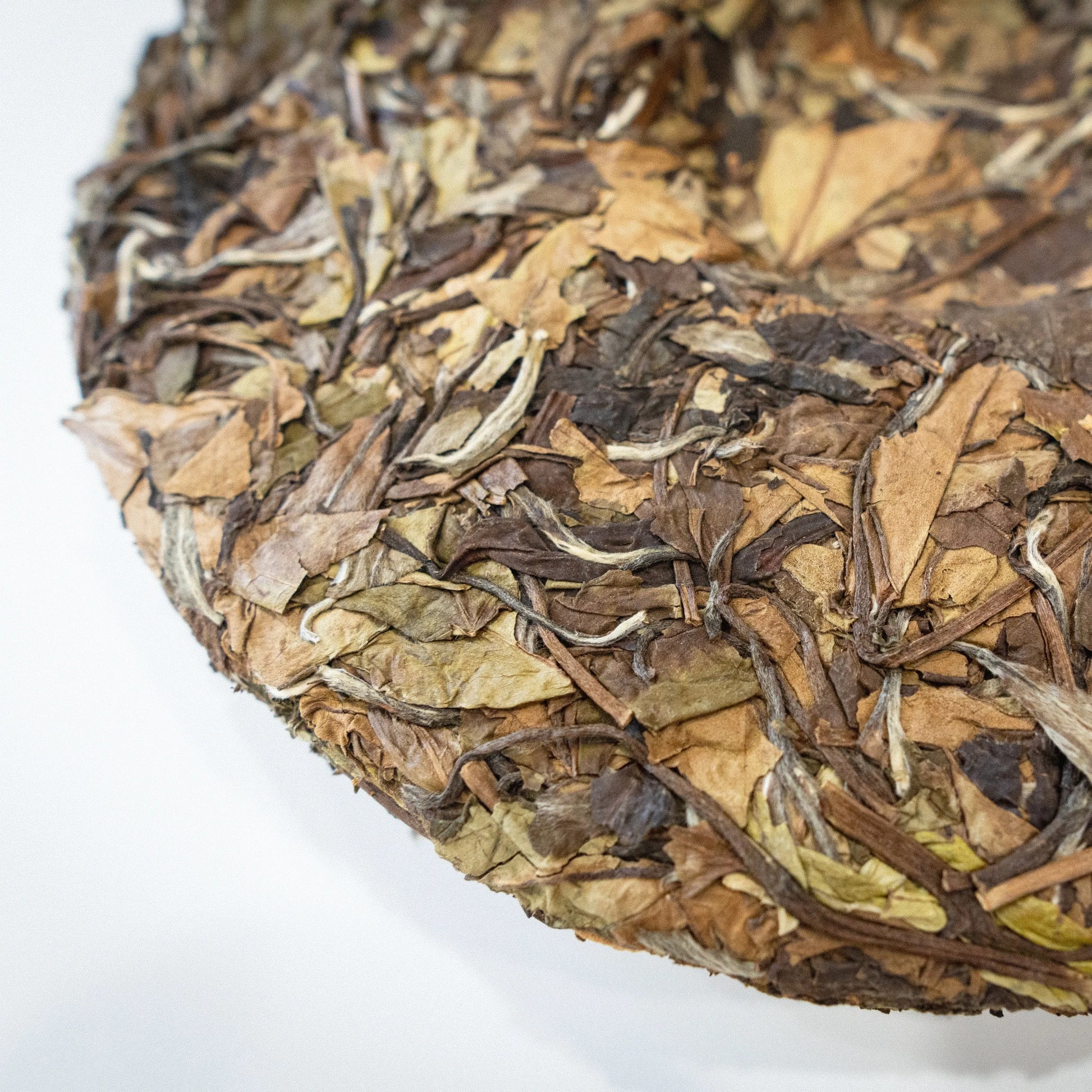 Close-up of rooteas bear's bait compressed aged white tea cake with on a white background