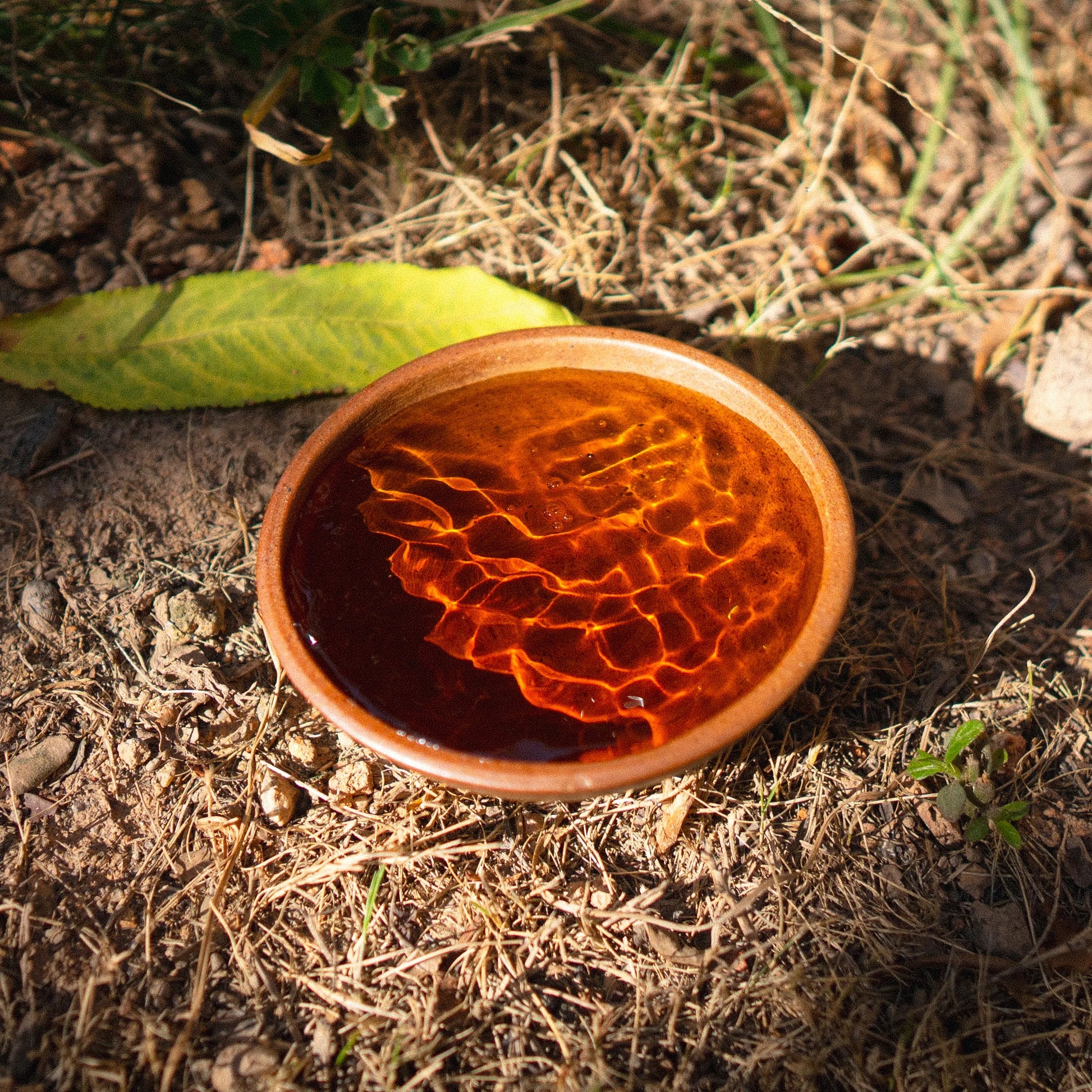 Ceramic tea cup with rooteas aged white tea soup on a natural background