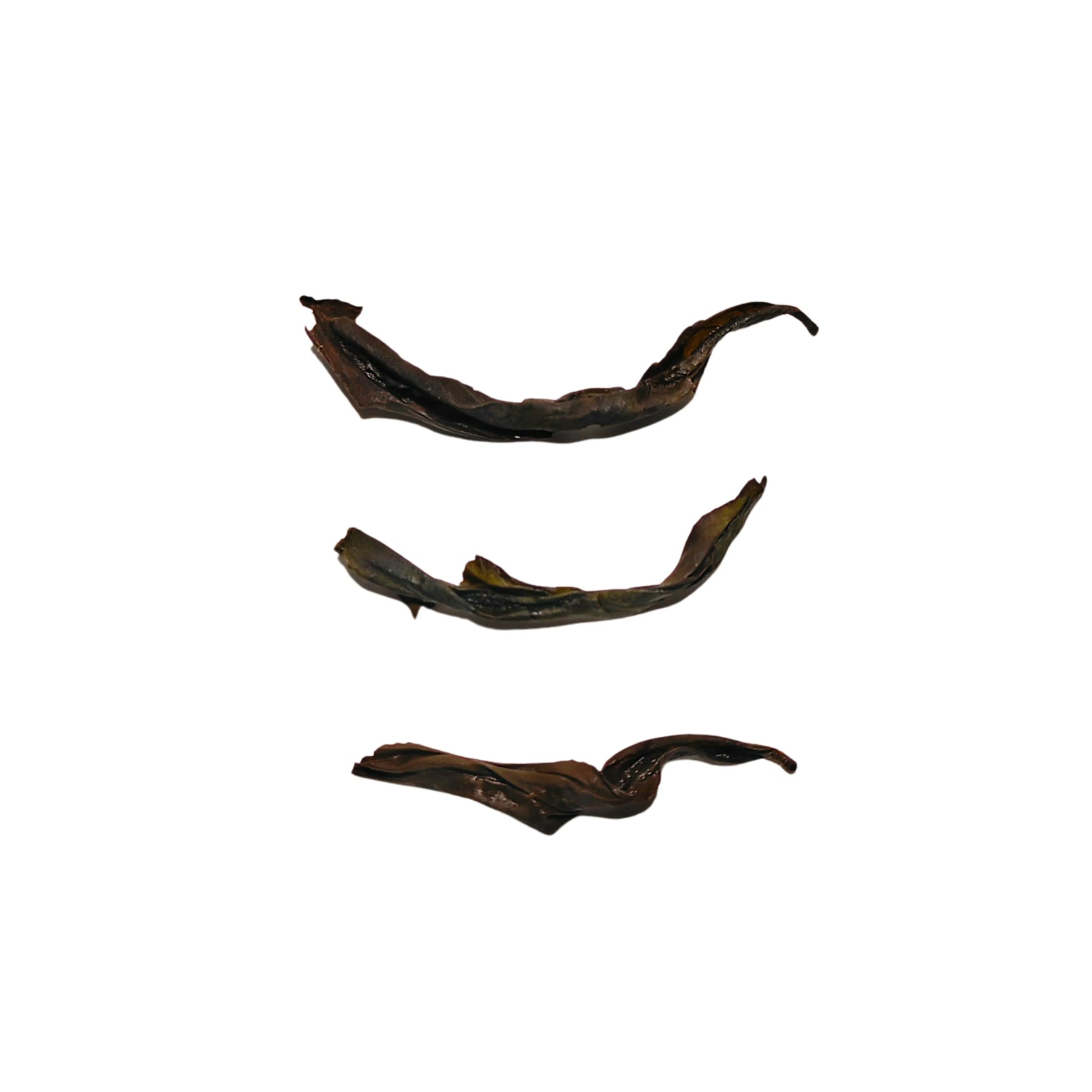 Rooteas nutty rou gui rock oolong tea leaves